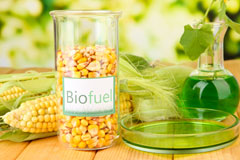 Ruislip biofuel availability